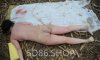 YE1028_4_【国】荒郊野外发现女尸现场裸检【 高清 28P】